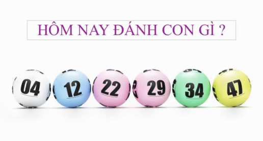 Đề về 65 thì hôm sau đánh con gì với những chia sẻ chuẩn xác